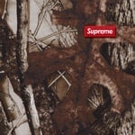 Supreme Small Box Tee TrueTimber HTC Fall Camo