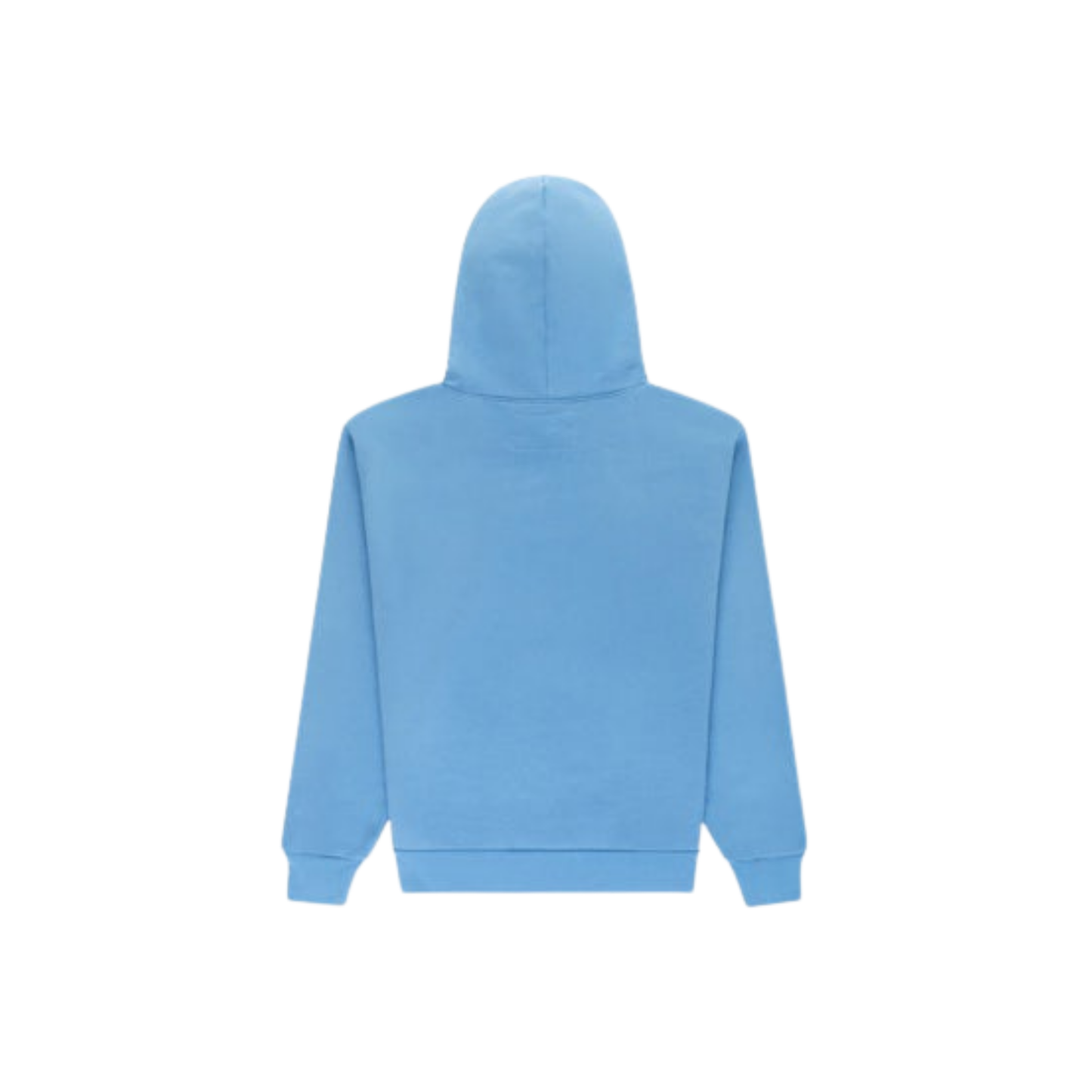 Sp5der OG Web V2 Hoodie Dusty Blue Back